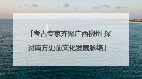 考古专家齐聚广西柳州 探讨南方史前文化发展脉络